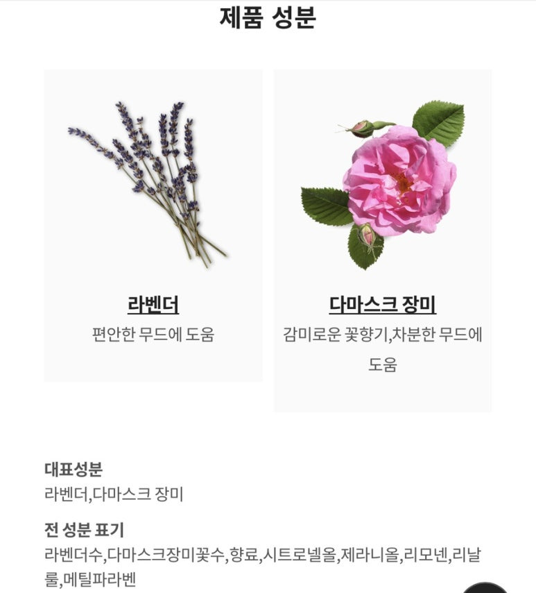 러쉬디자인 이미지