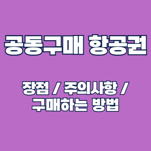 공동구매 항공권으로 여행 경비 절약하는 법 알아보기