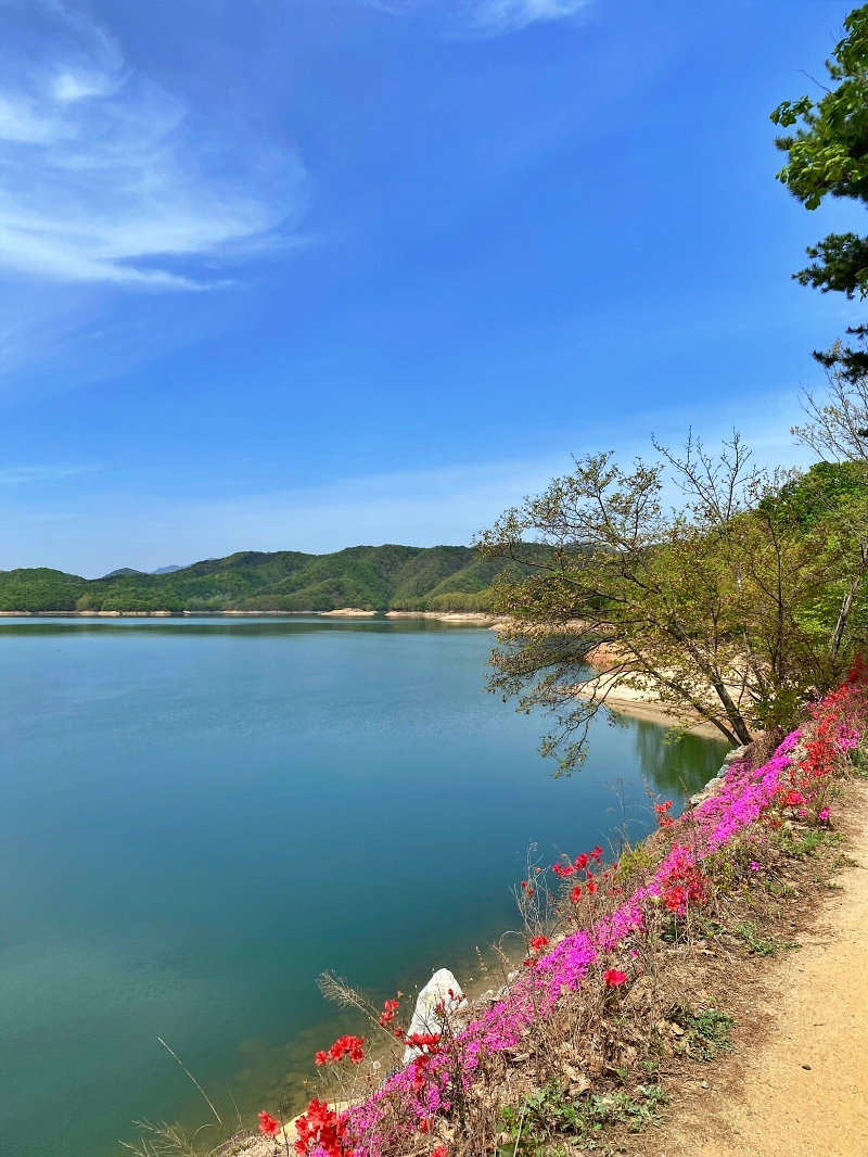 넓게 펼쳐진 호수멀리 산이 보인다