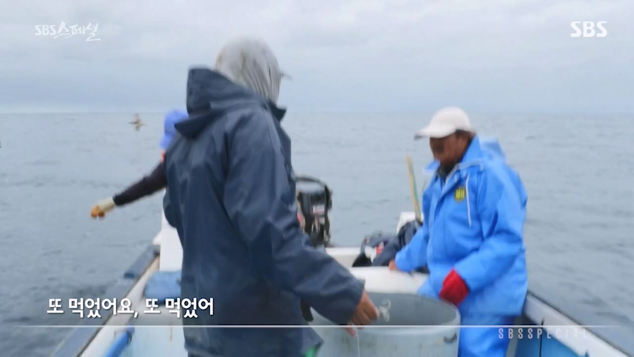 일요특선 다큐멘터리.E325.230724p-NEXT.mp4_20230726_213100.524.jpg