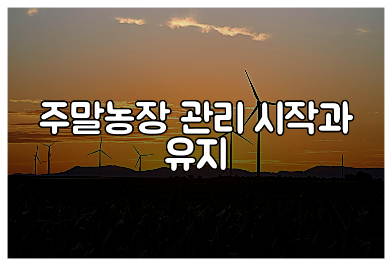 주말농장 관리 시작과 유지