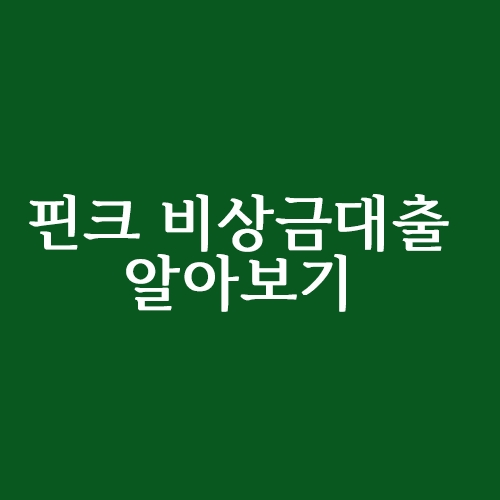  핀크 비상금 대출자격 조건 알아보기
