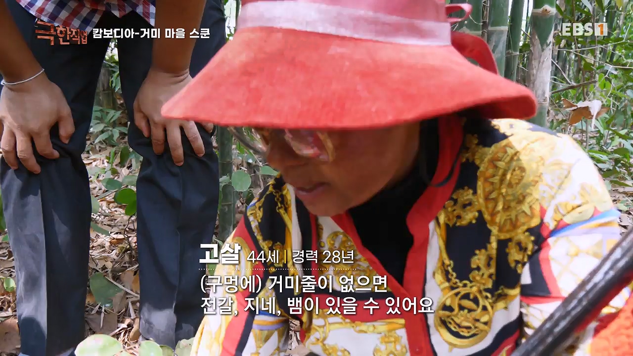 TV - 전 국민의 평생학교 EBS캄보디아 - 독충을 잡는 사람들.mp4_20230501_173348.798.jpg