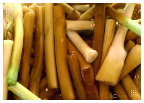 마늘쫑장아찌 맛있게 담그는법 및 효능 마늘쫑장아찌 맛있게 담그는법 및 효능