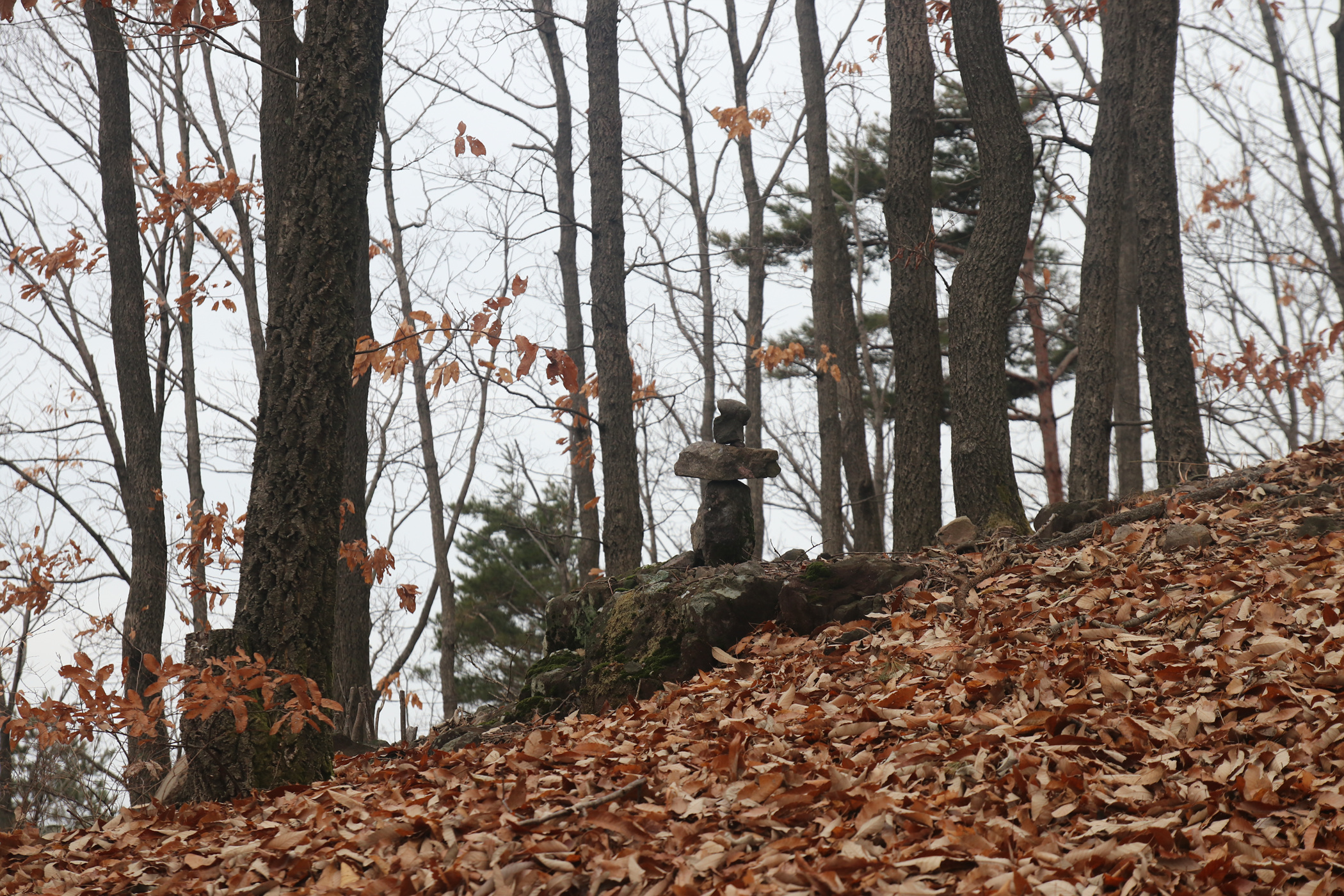 경남 의령군 국사봉 05 32