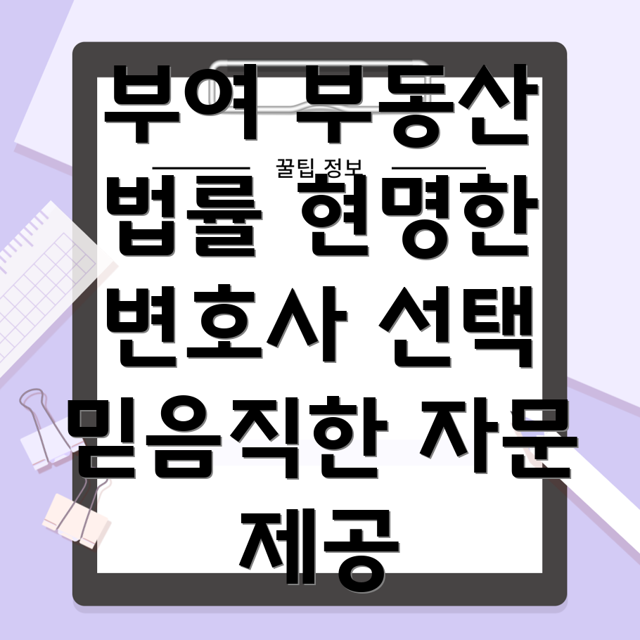 부여군 부동산 법률 자문