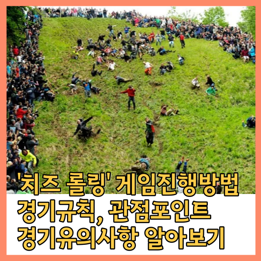  '치즈 롤링' 게임진행방법, 경기규칙, 관점포인트, 경기유의사항 알아보기