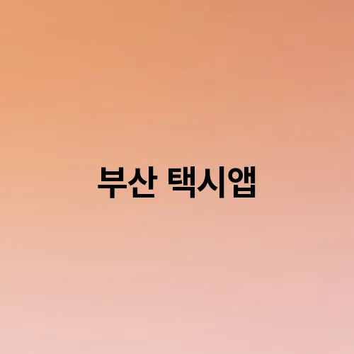 부산 택시앱