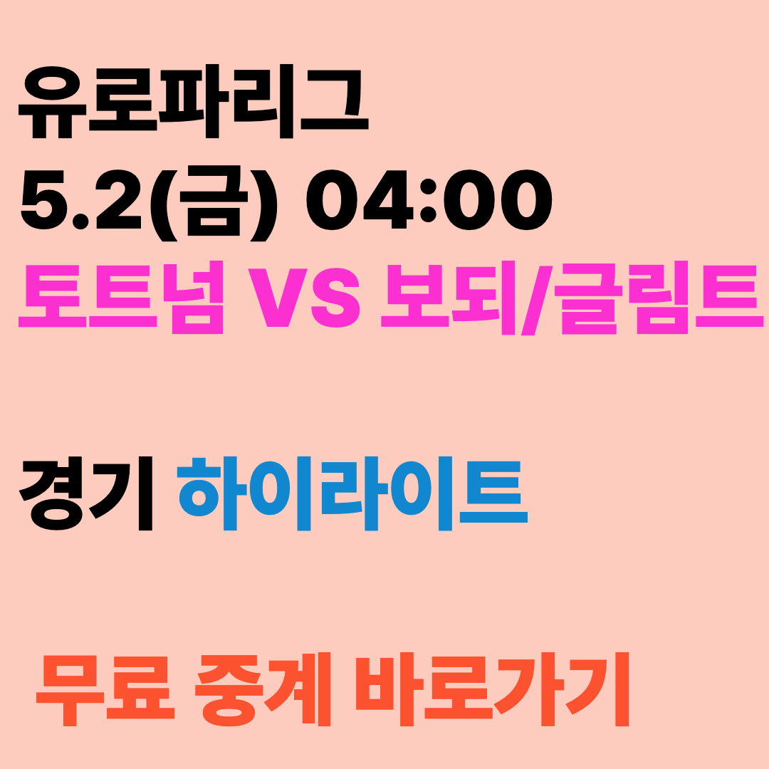 손흥민 경기