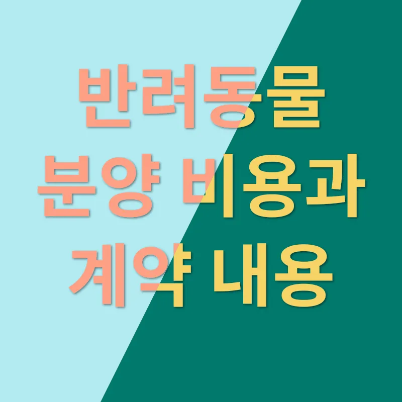 반려동물 분양_3