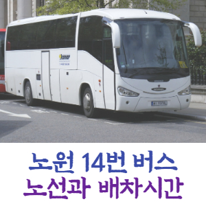  노원 14번 버스 노선과 배차 시간 알아보기