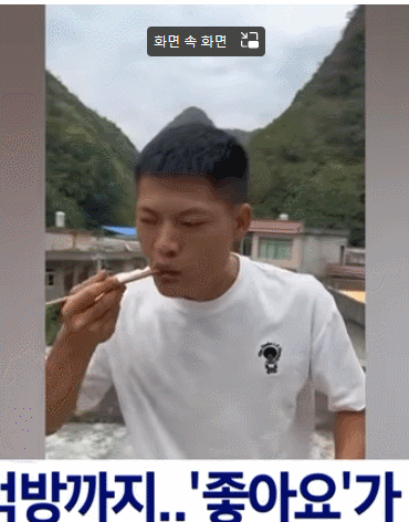 "하다 하다 살아있는 말벌까지 먹방했다는 중국인 인플루언서, 얼굴 만신창이 된 남성의 최후"