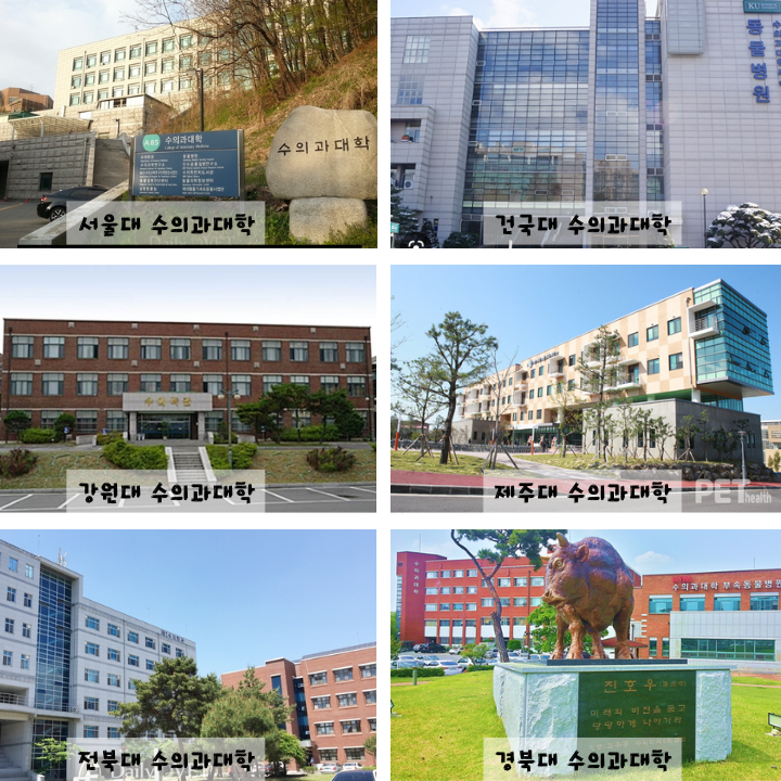 수의대-1위부터-6위까지-캠퍼스-사진