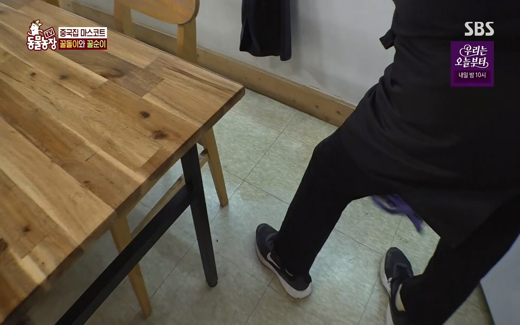 TV 동물농장.E1069.220515p.H264-F1RST.mp4_20220515_181240.978.jpg