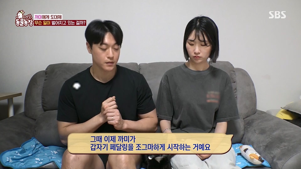 TV 동물농장.E1128.230709p.H264-F1RST.mp4_20230709_183538.975.jpg