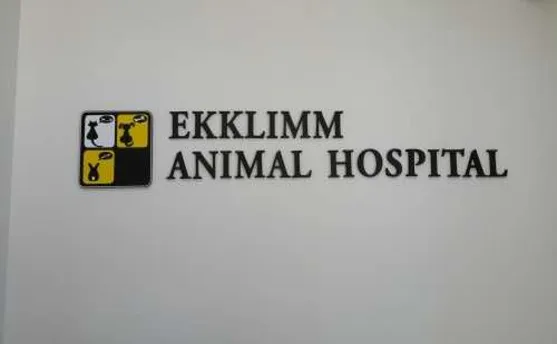 이끌림동물병원