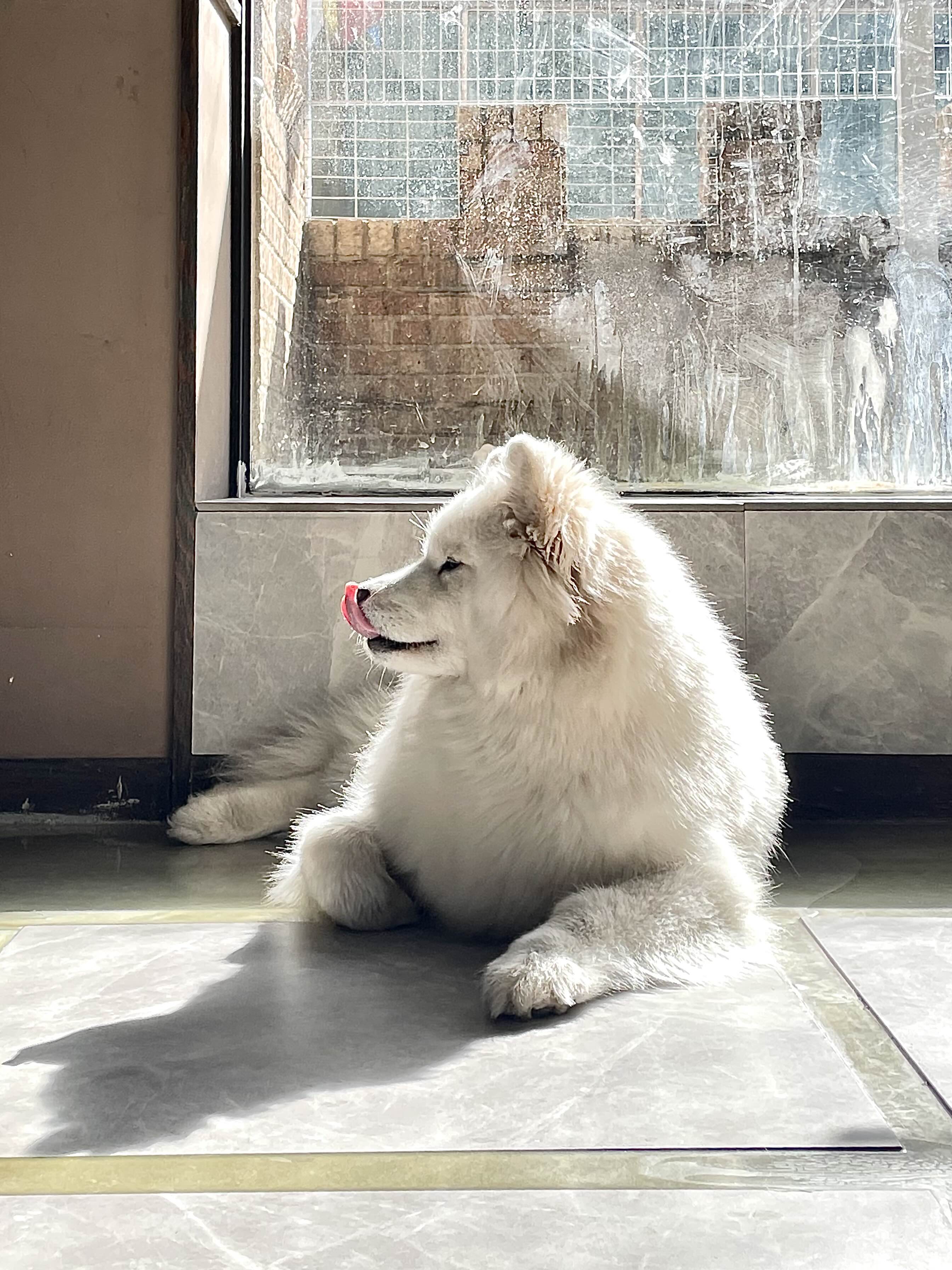 겨울이머무는집 이미지