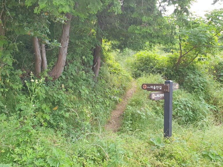 1박3식 [거제도 여행] 이수도 9