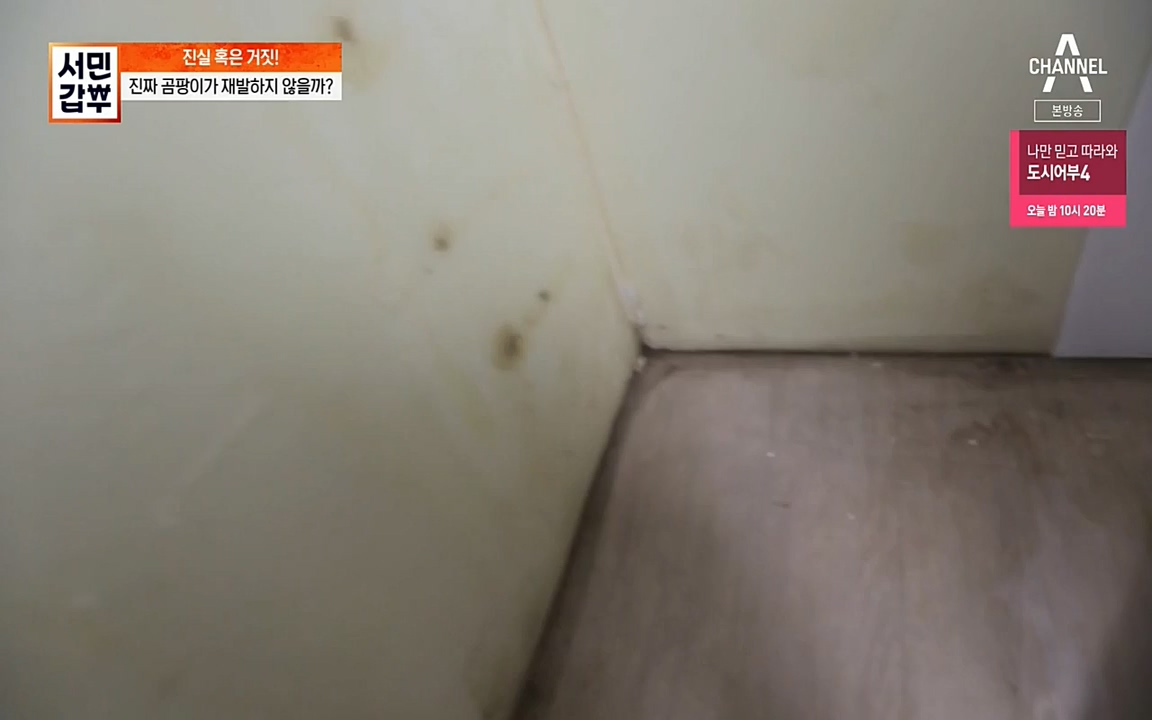 서민 갑부.E393.220724p-NEXT.mp4_20220724_142751.117.jpg