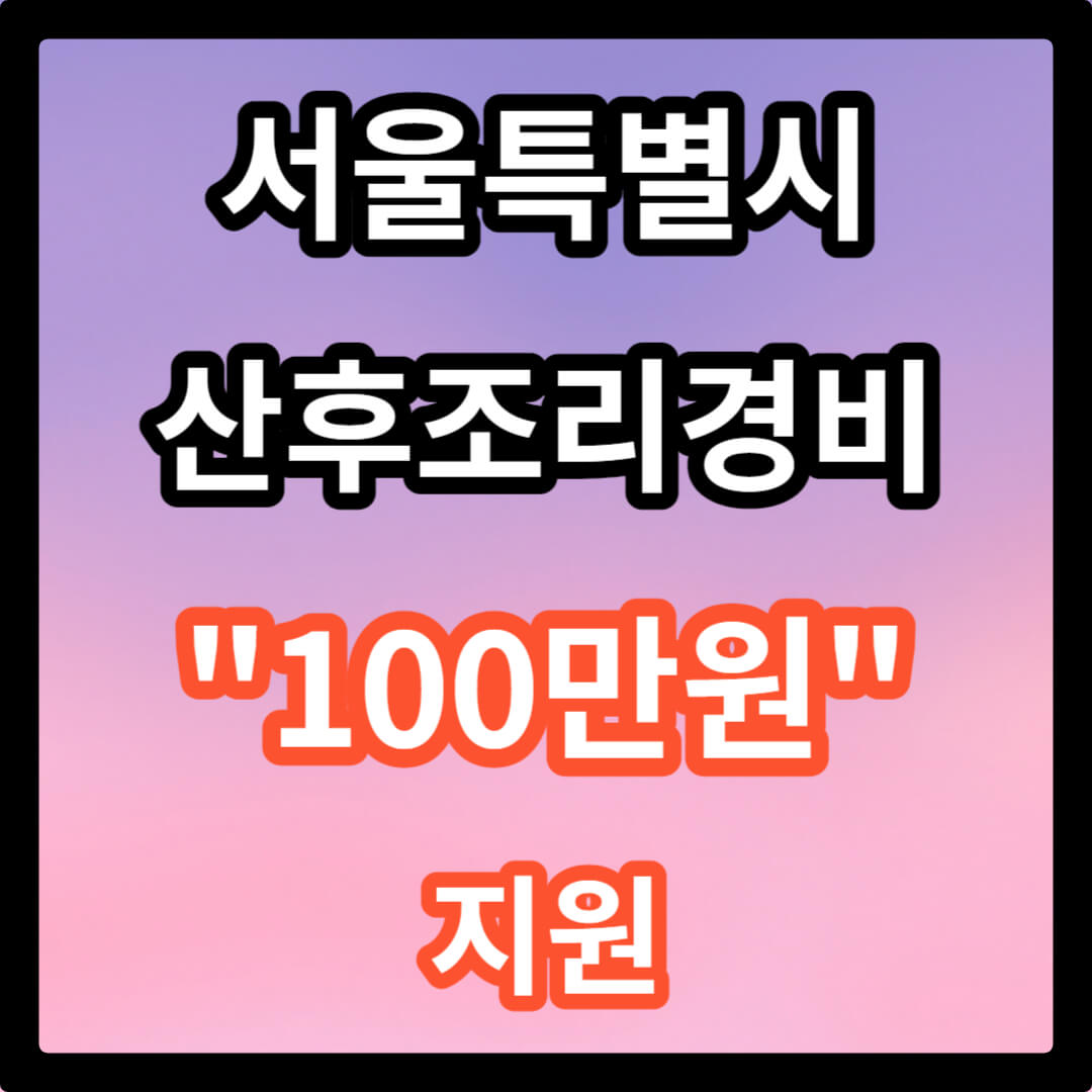 서울시 산모 산후조리경비 100만원 지원 신청방법