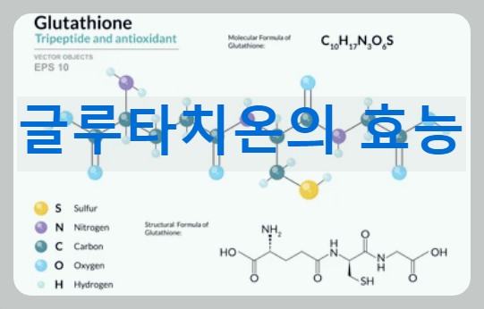 당뇨병 예방과 면역력 향상에 좋은 항산화제 성분인 글루타치온의 효능