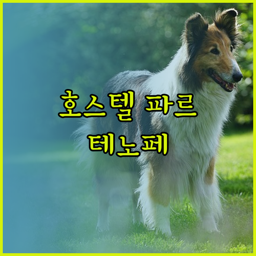 호스텔 파르테노페에서 맛본 나폴리의 