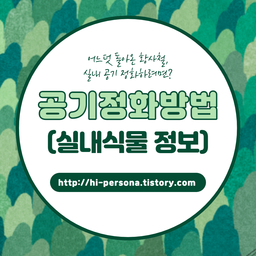  공기정화 방법