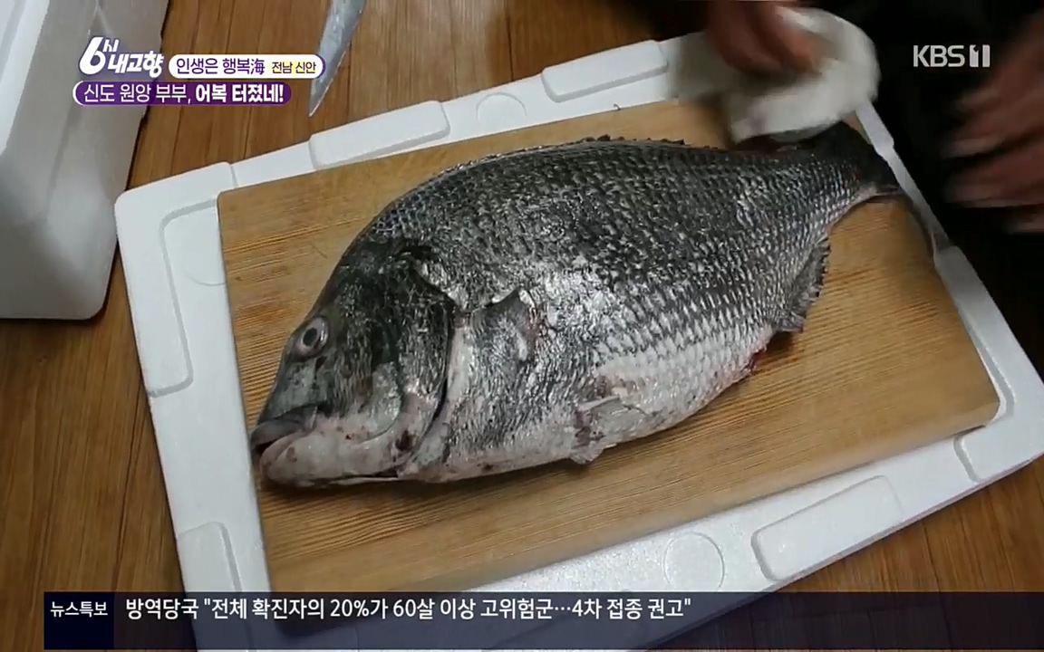 6시 내고향.E7518.220426p.H264-F1RST.mp4_20220504_192503.866.jpg