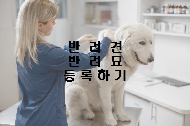  노다지네 잡학다식