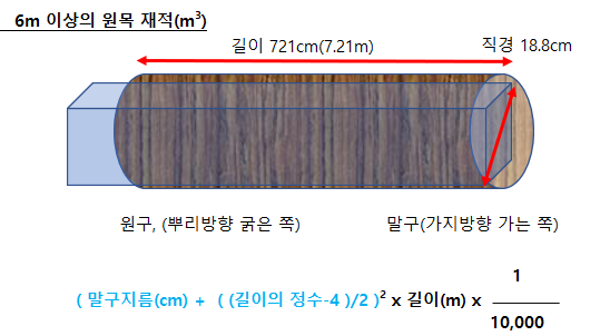 6m 이상 원목의 재적 계산