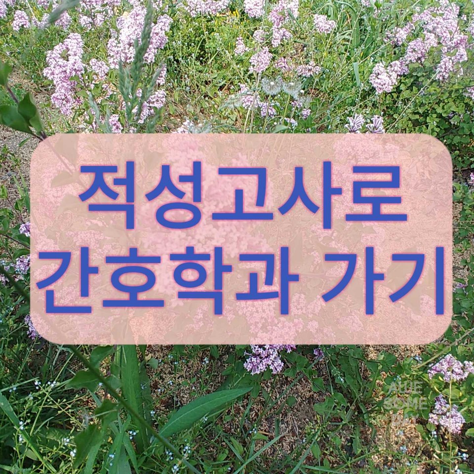  적성고사로 간호학과 합격하는법
