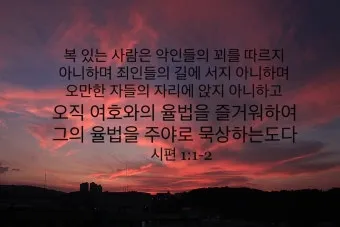 시편 1장 3절 묵상 - 그는 시냇가에 심은 나무가 철을 따라 열매를 맺으며_1