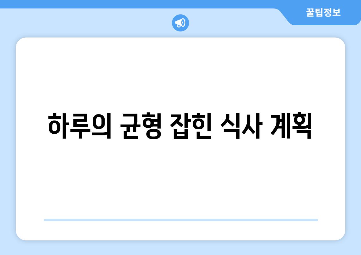 하루의 균형 잡힌 식사 계획