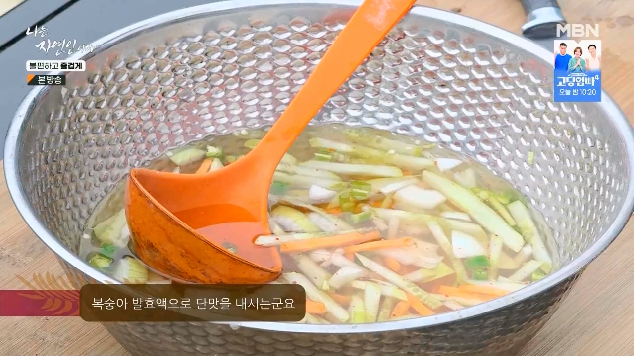 나는 자연인이다.E566.230810p.WANNA.mp4_20230810_202601.648.jpg