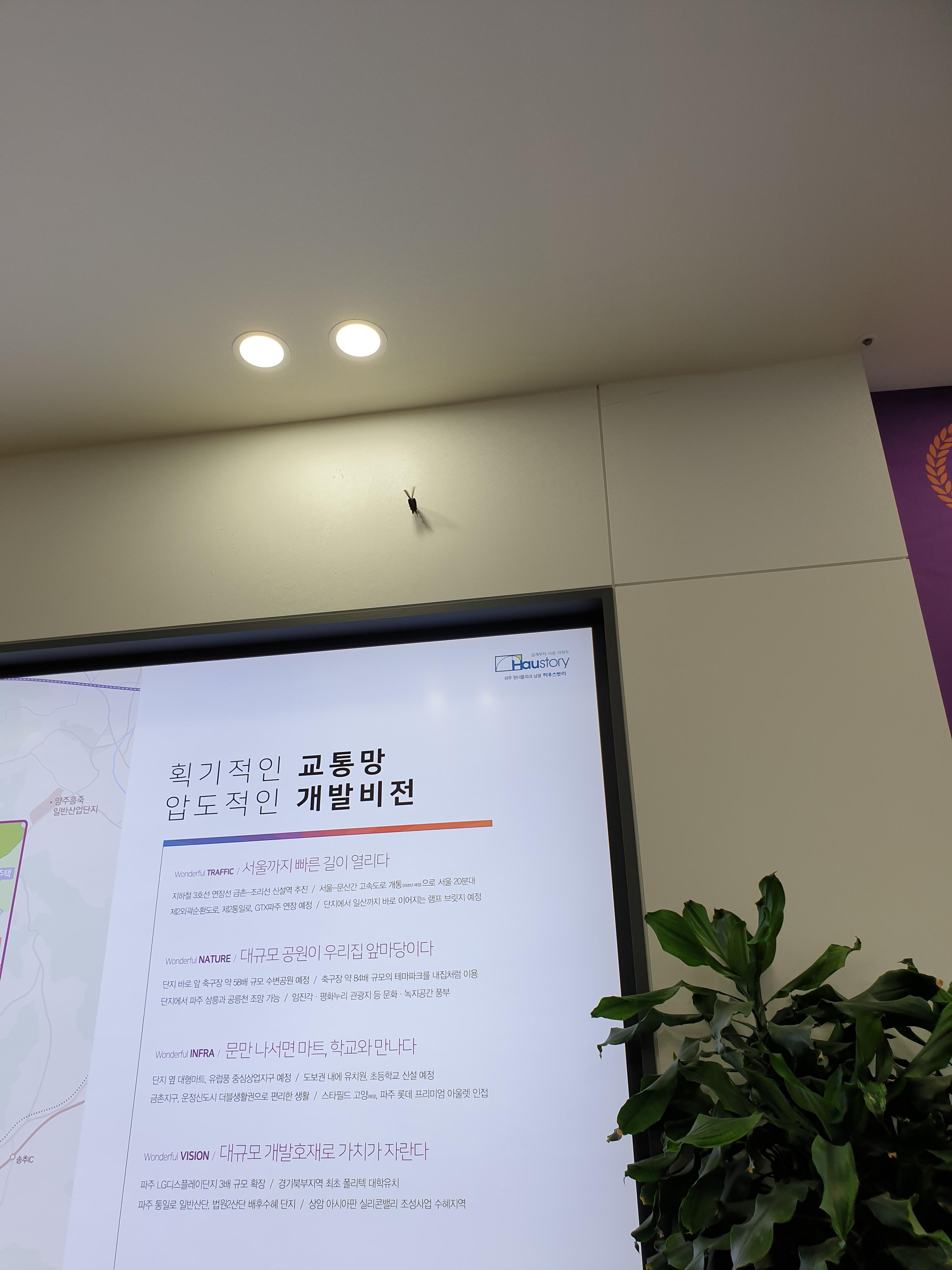 남광개발 이미지