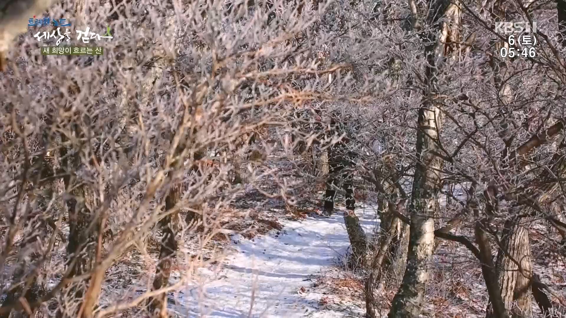 트레킹노트 세상을 걷다.E302.240106p.H264-F1RST.mp4_20240712_211026.247.jpg