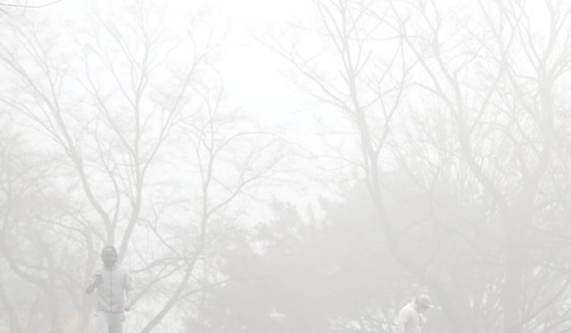  미세먼지,  호흡기 건강음식