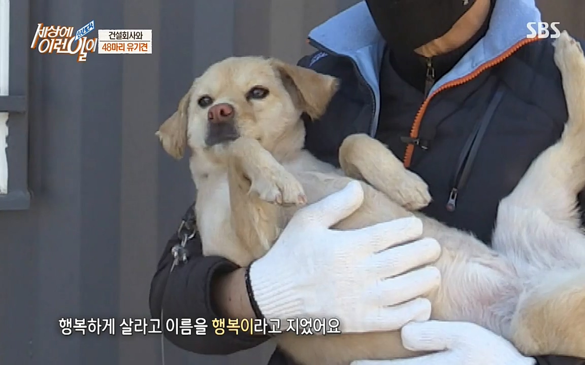 순간포착 세상에 이런일이.E1171.220316p-NEXT.mp4_20220316_185009.290.jpg