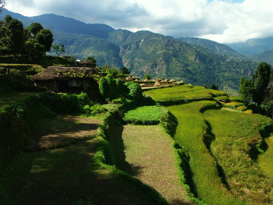 안나푸르나-베이스캠프트레킹-네팔의-계단식논