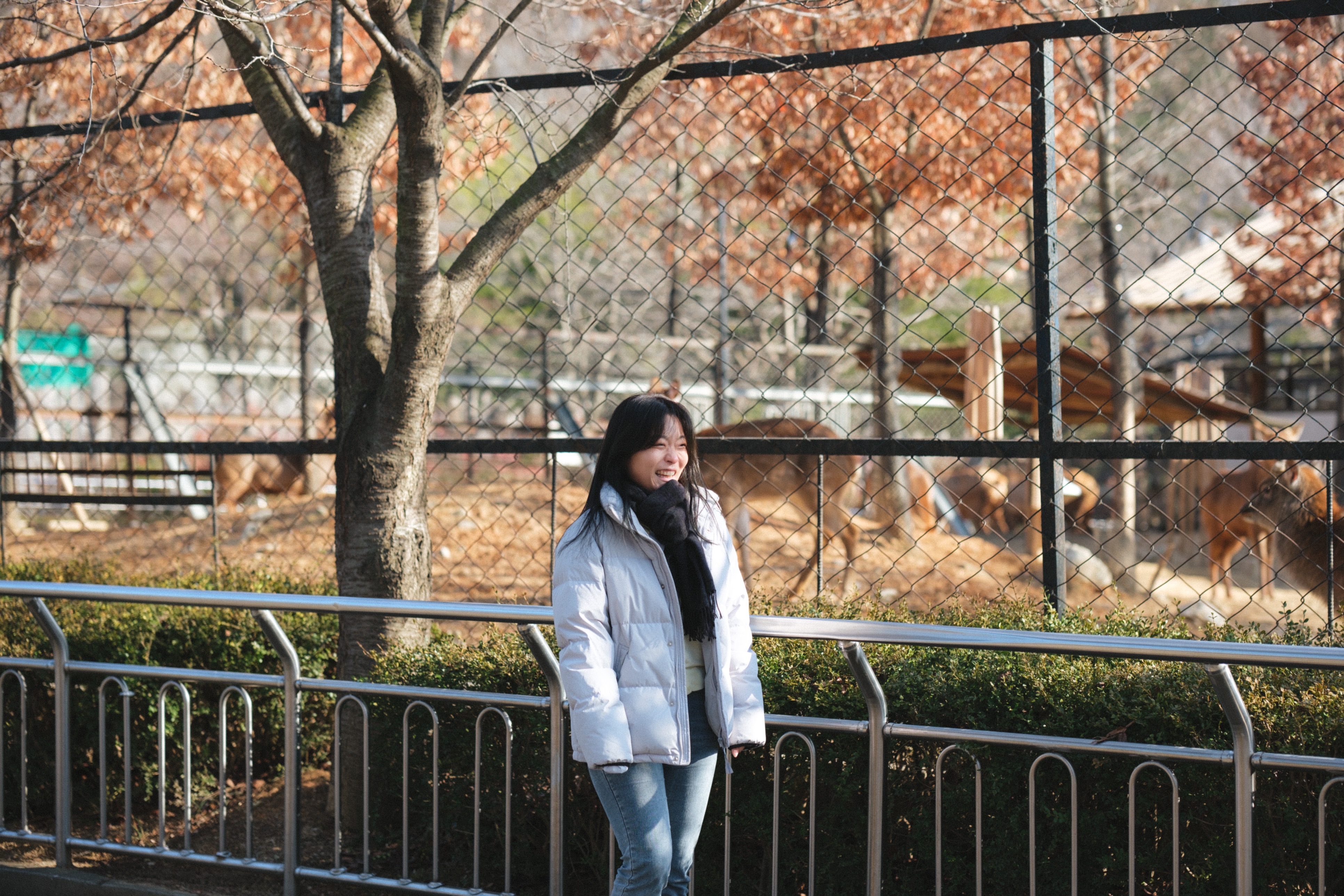 전주 1박 2일 여행 전주동물원