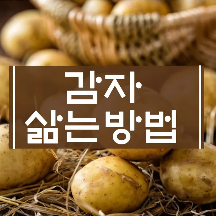 감자-삶는-방법