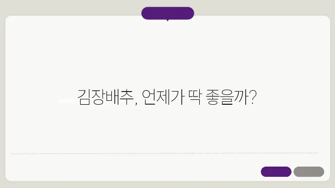 김장배추 수확시기