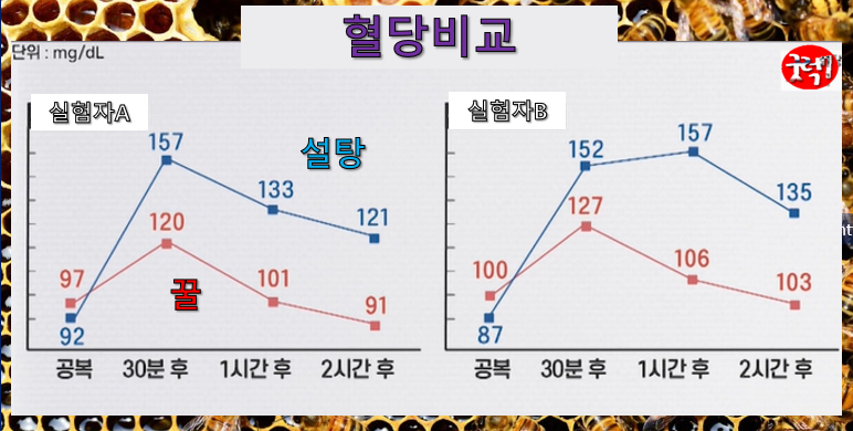 : 당뇨병의 경우 설탕 대신 꿀, 천연꿀과 사양꿀의 차이, 꿀효능 10