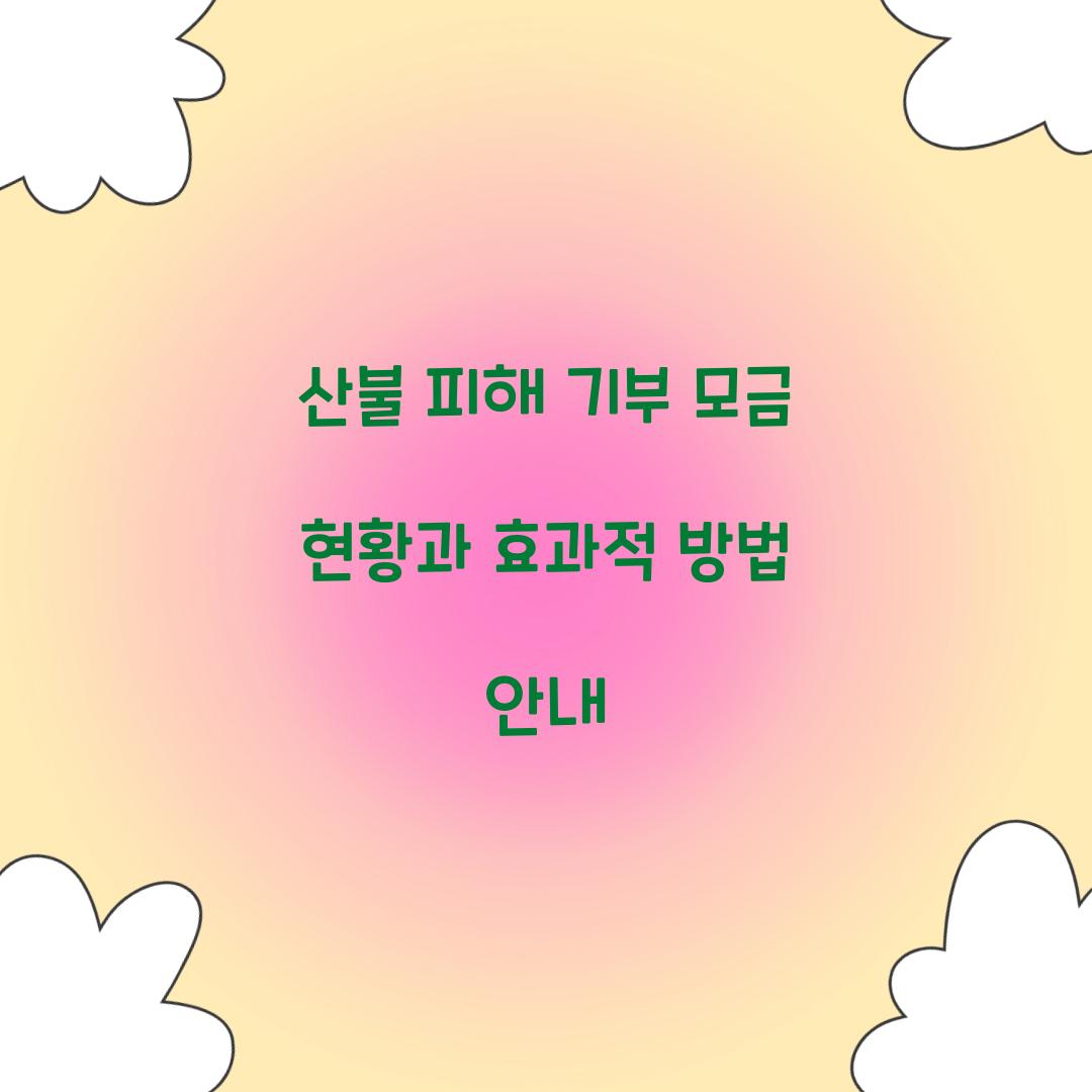 산불 피해 기부