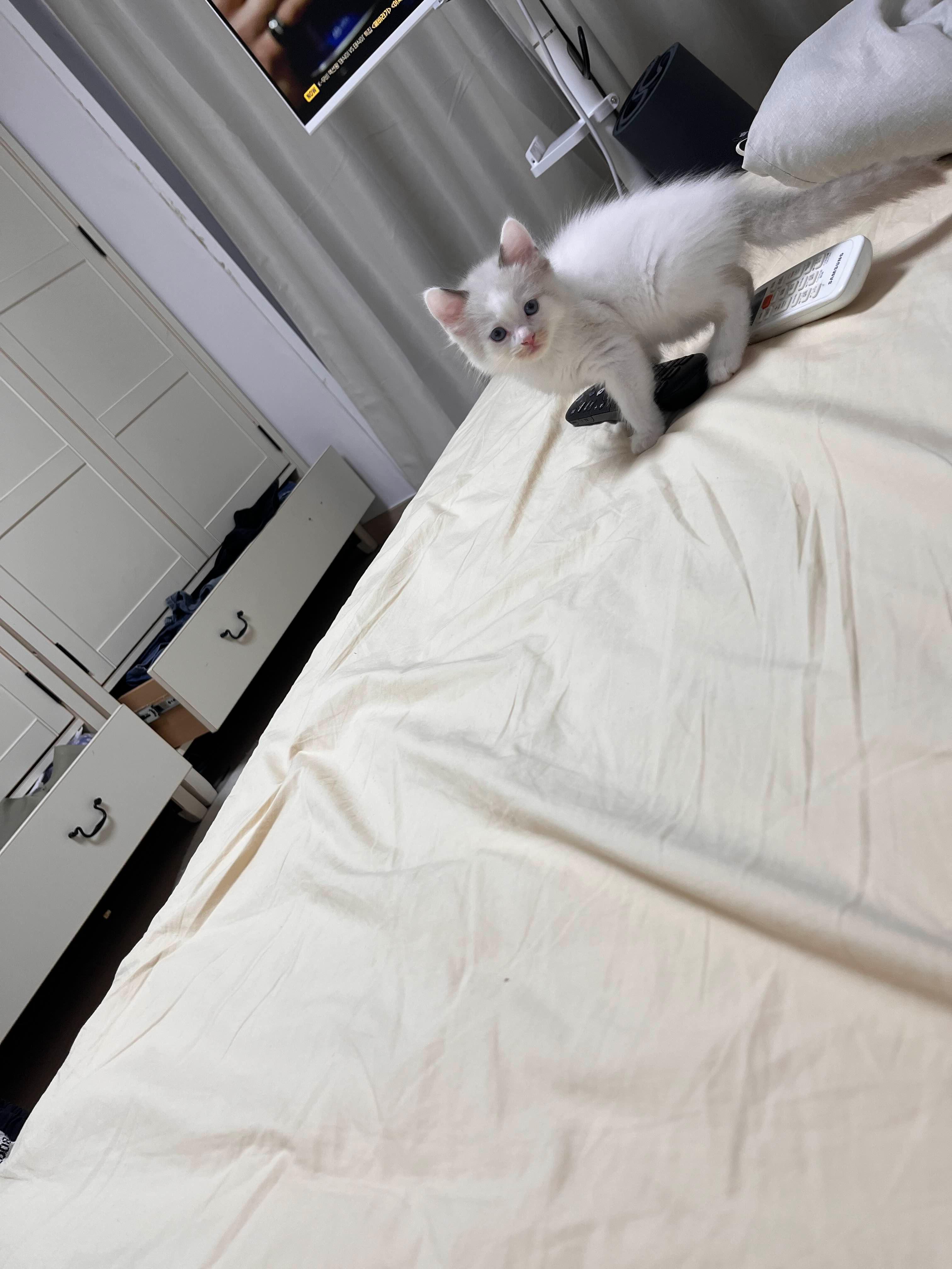 작디작은 집 이미지