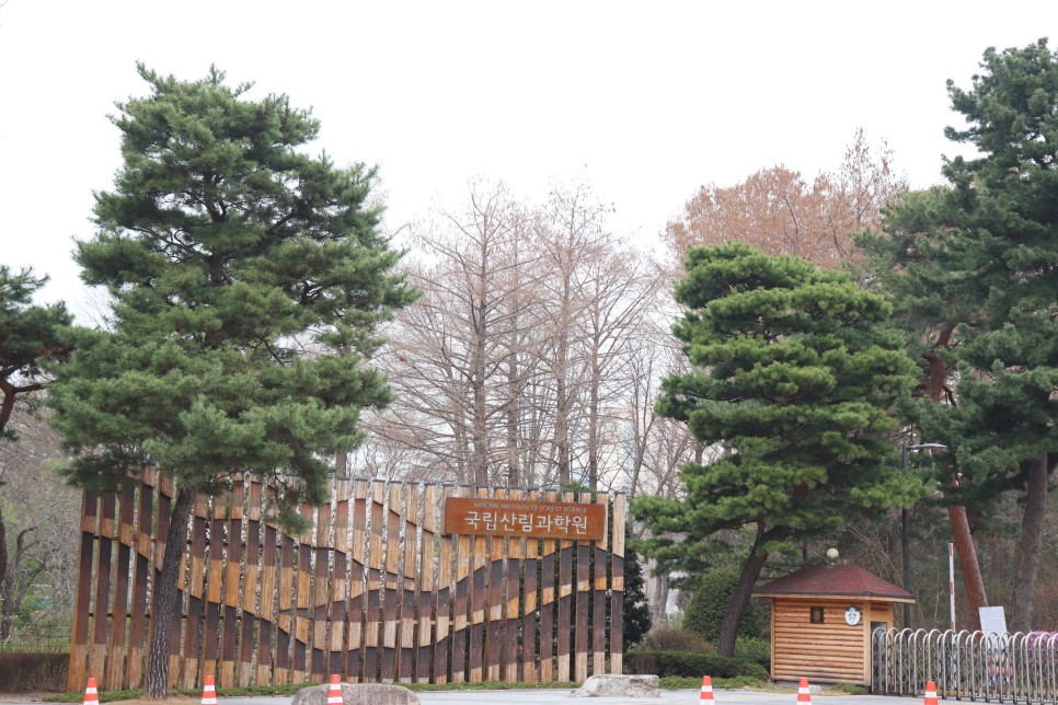 홍릉시험림(홍릉수목원) #페이지 토.일요일서울가볼만한곳 54