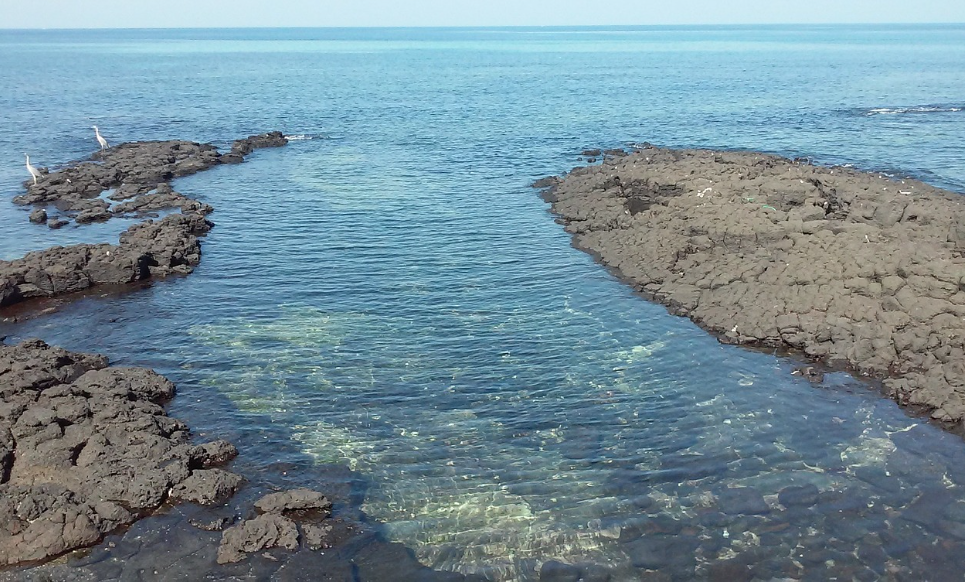 제주도 사진