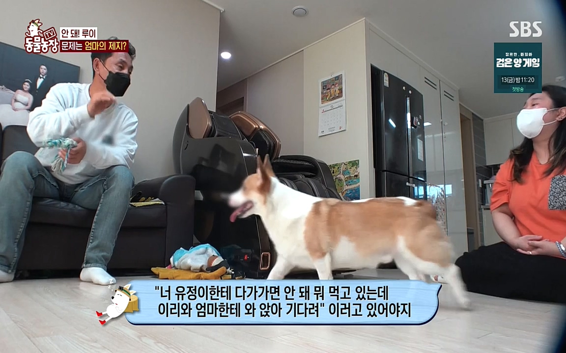 TV 동물농장.E1068.220509p-NEXT.mp4_20220508_173814.124.jpg