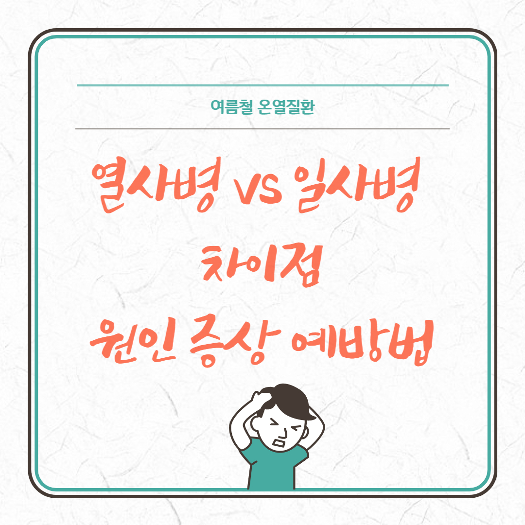  열사병 일사병 차이 원인 증상 치료 예방법 총정리
