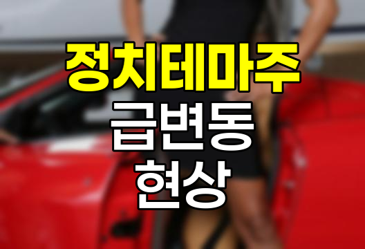 비상계엄 후폭풍, 정치테마주 급변동 현상